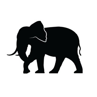 Endangered Species Chocolate