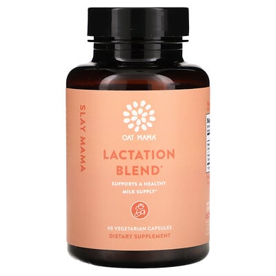 Slay Mama, Lactation Blend, 60 Vegetarian Capsules