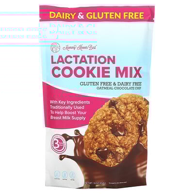 Lactation Cookie Mix , Oatmeal Chocolate Chip, 16 oz (454 g)