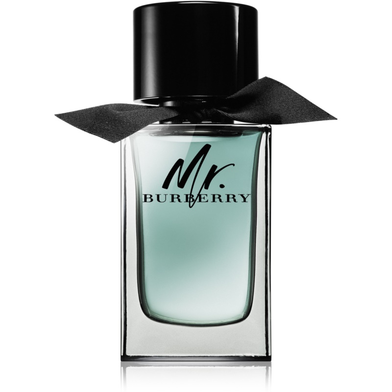 Mr. Burberry Eau De Toilette 100ml