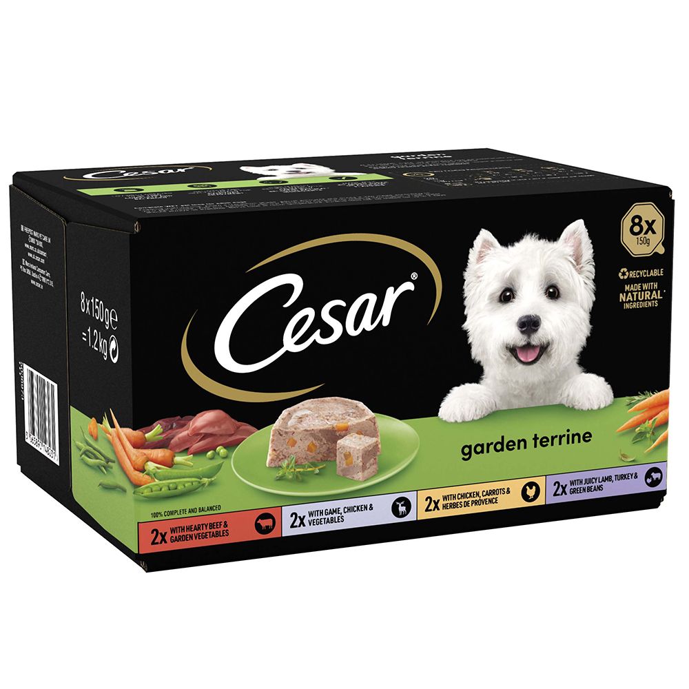 Barquettes Terrine Pour Chien