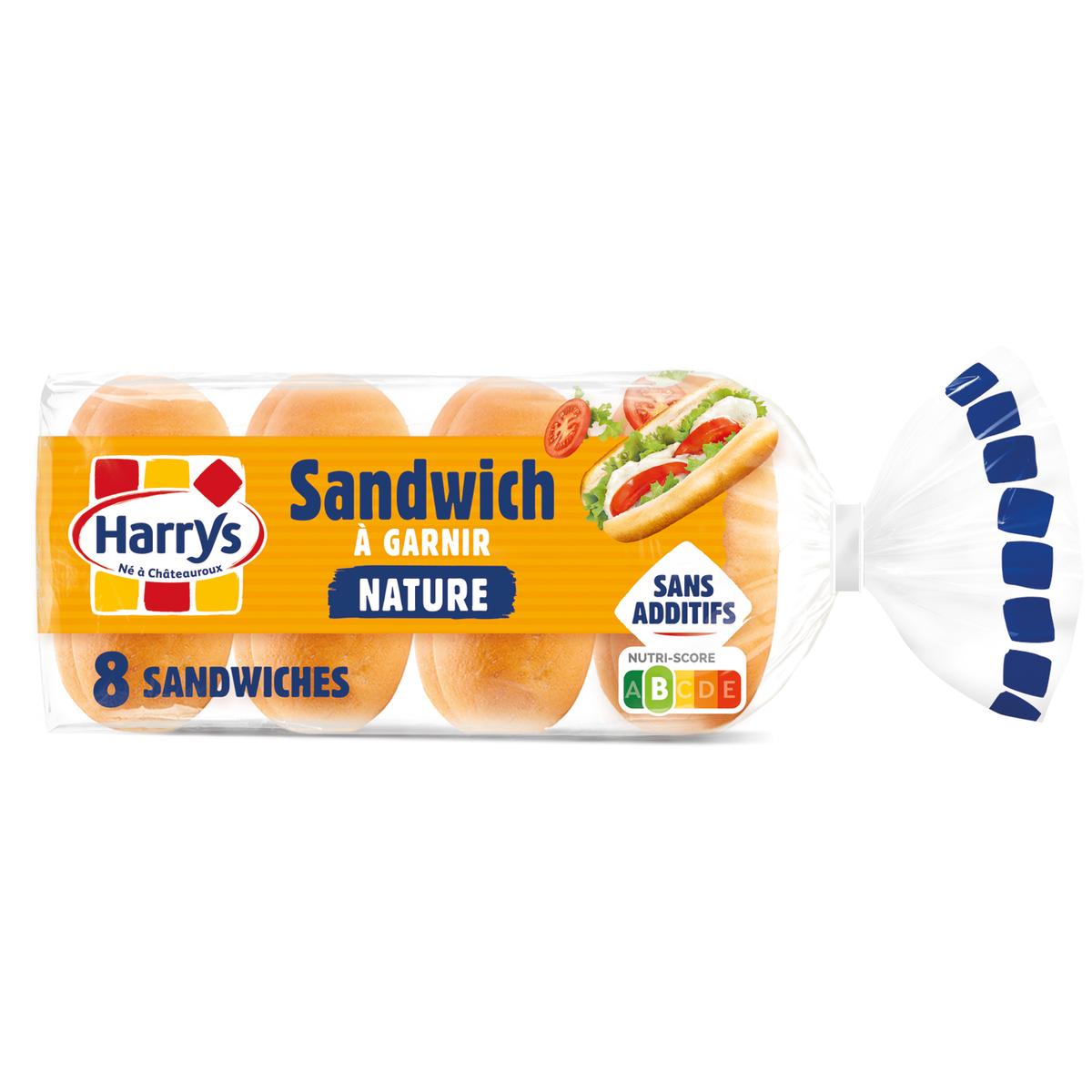Pain Sandwich Nature