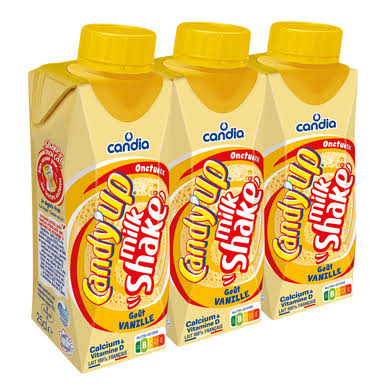 Boisson Lactée Milkshake Vanille