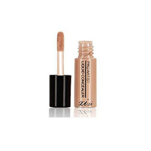 PRO ARTIST LIQUID CONCEALER MUKA